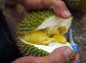 Butter Durian in George Town Penang