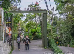 the Habitat entry Penang Hill