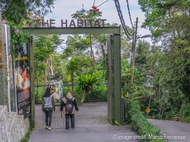 the Habitat entry Penang Hill