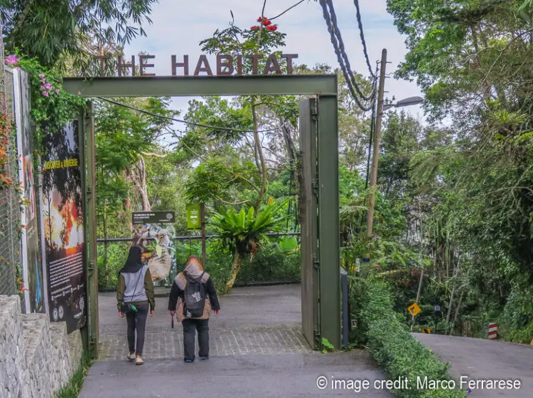the Habitat entry Penang Hill