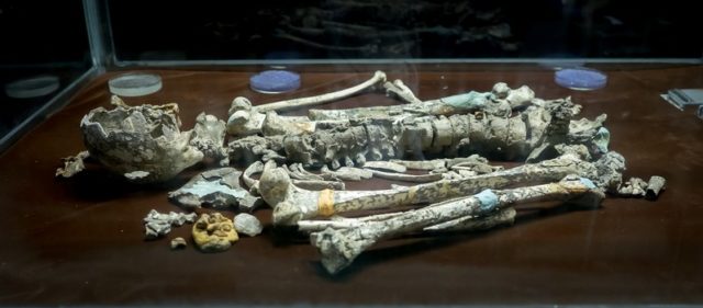 Perak Man remains Lenggong Definitive Lenggong Travel Guide