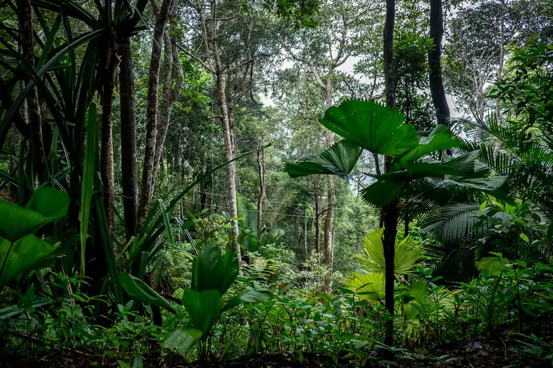 enjoy Penang Nature