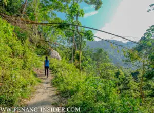 Penang Hill secret hiking trail