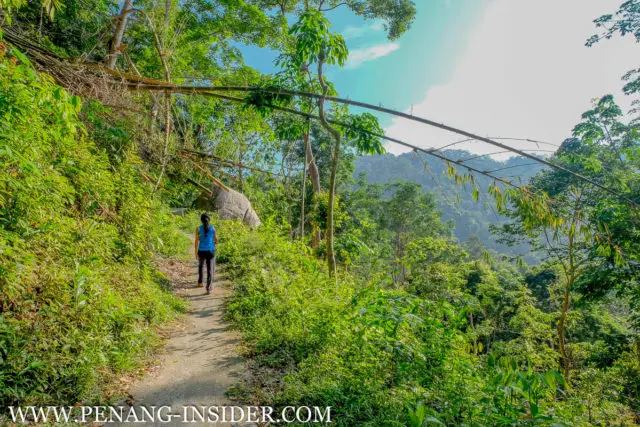 tourist guide penang