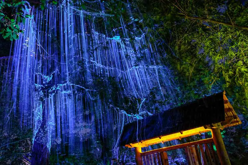 The Ultimate Guide To Avatar Penang Secret Garden Penang Insider