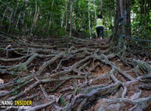 hiking_in_penang_hill_moongate_station5