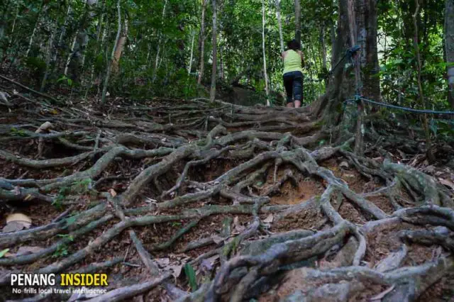 must visit at penang