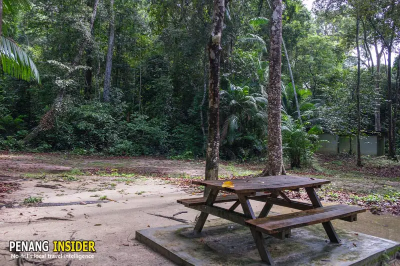 teluk kampi camp ground penang national park teluk bahang