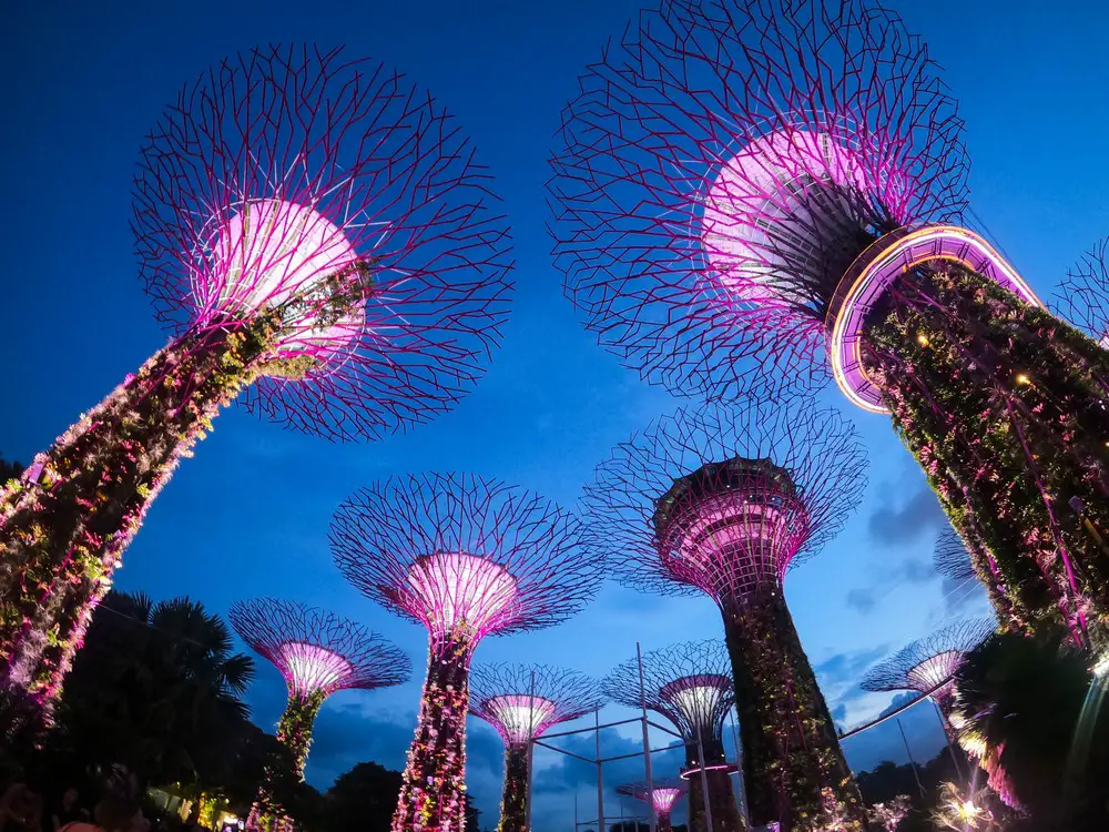 supertree grove singapore in one day