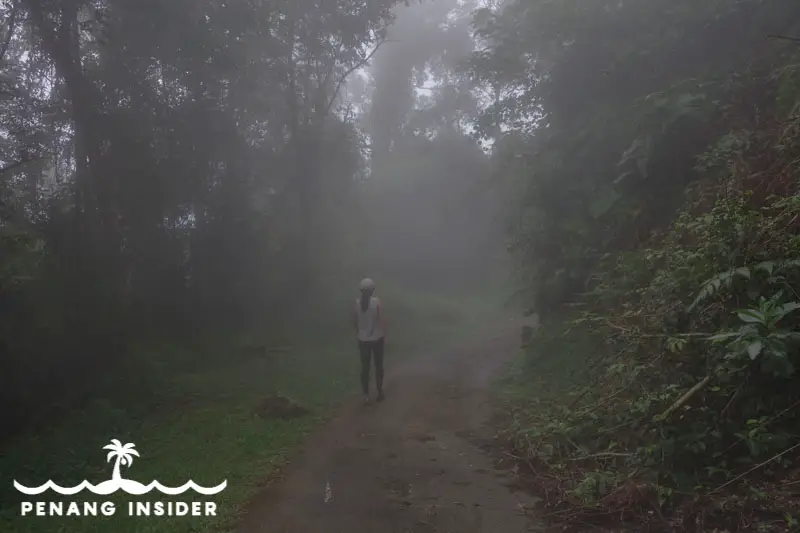 standing in the mist of Bukit Larut in Taiping