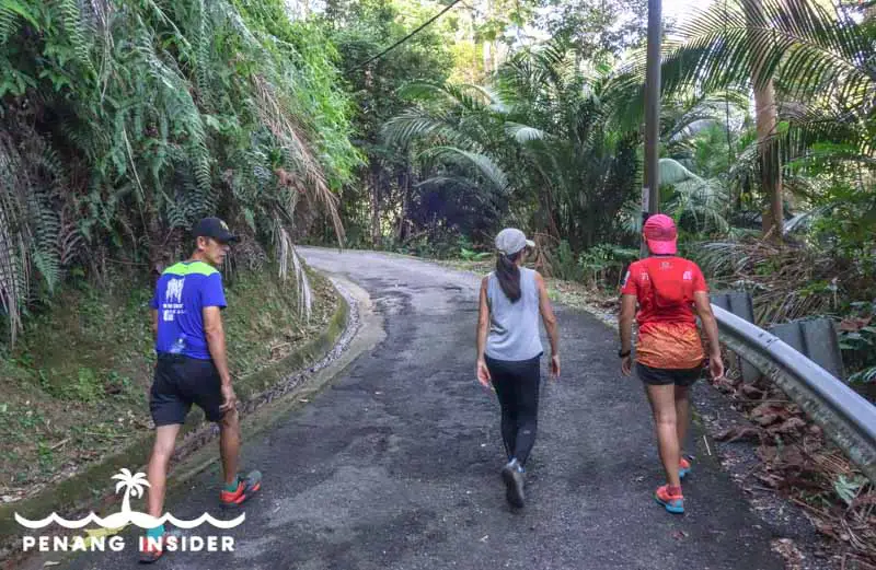 hikers walk on the paved road at Bukit Larut in Taiping