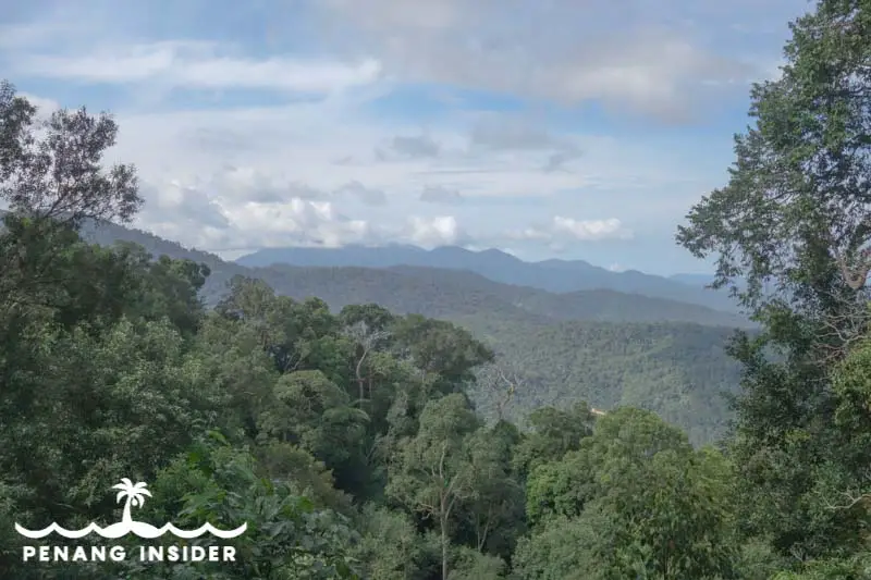 panorama from Bukit Larut in Taiping