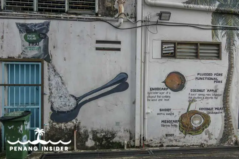 Mural depicting the Anatomy of a coconut at Butterworth Art Walk