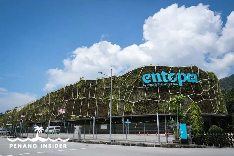 Entopia with its impressive garden wall