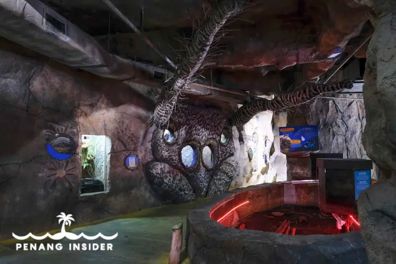 Tarantula-shaped walls at Entopia's Mystery Cave