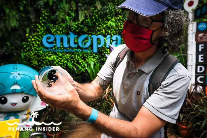 release a newborn butterfly into Entopia's Natureland