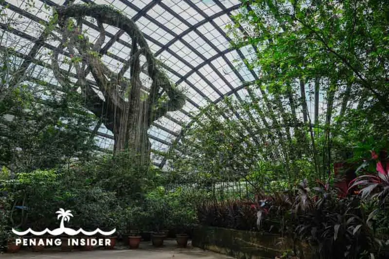 Entopia's centerpiece, the Home Tree, stands tall above Natureland's gardens