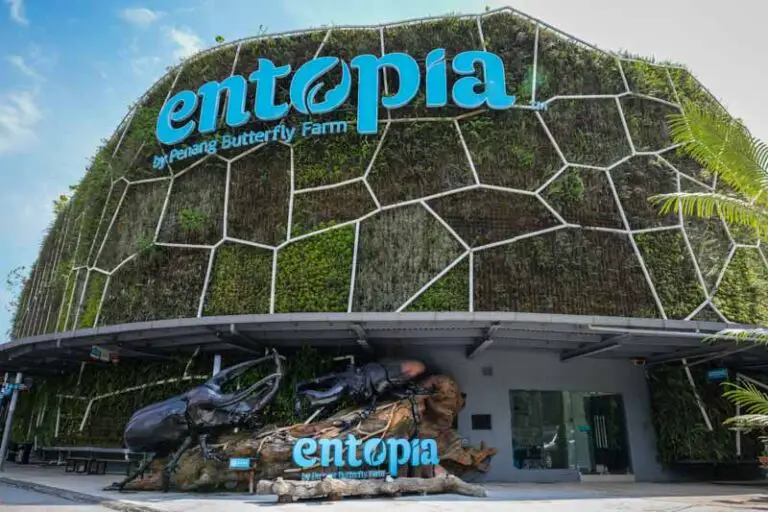 Entopia by Penang Butterfly Farm: the Ultimate Visitor’s Guide