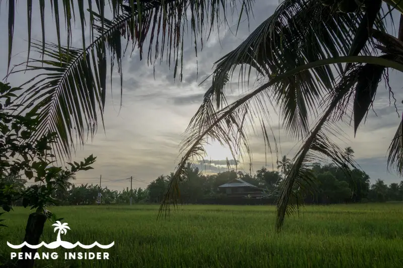 Kurau Inn sunrise from the garden