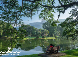 Tourists share a serene moment at Taiping Lake Gardens