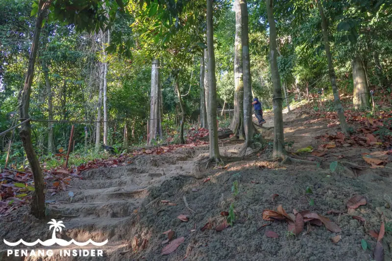 bukit_juru_hiking_trail