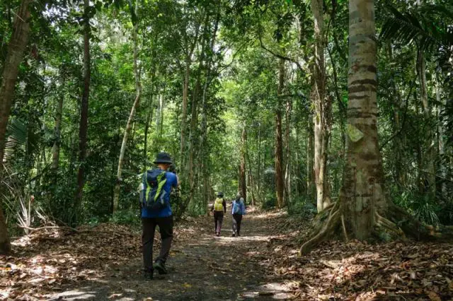 Bukit Panchor State Park Penang