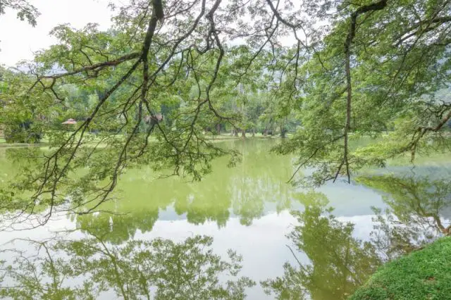 Taiping Lake Gardens West Lake raintrees