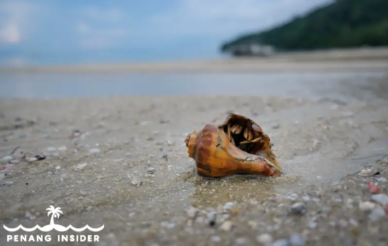 Monkey Beach Penang