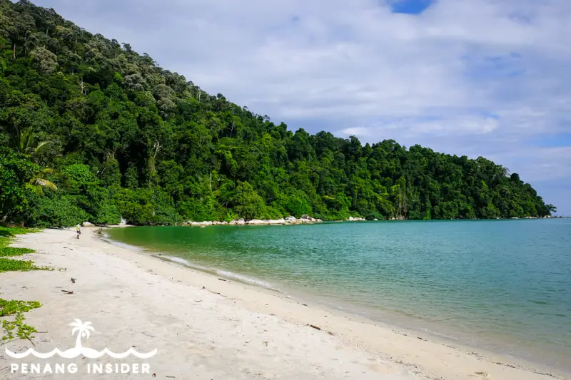 Monkey Beach Penang Teluk Aling