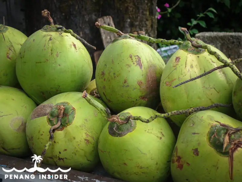 Coconut on the way to Penang Botanic Gardens