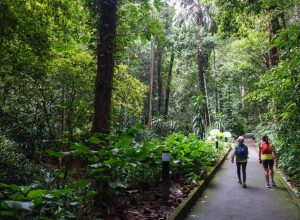 Penang Botanical Gardens Lily Pond path