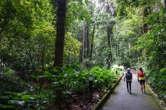 Penang Botanical Gardens Lily Pond path