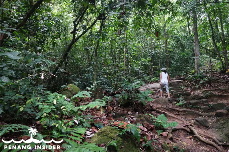 main Station 2 trail in Cherok Tokun