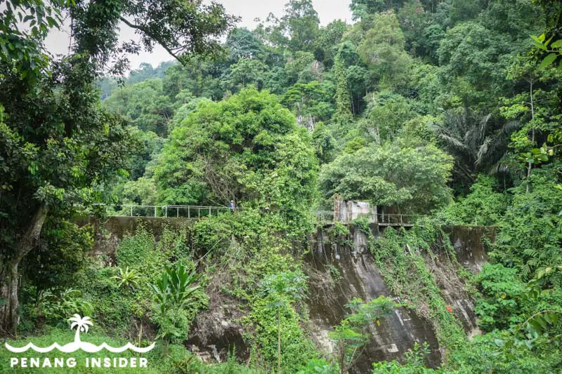 the Old Dam eaten by vines at the end of Cherok Tok Kun Trek 800.