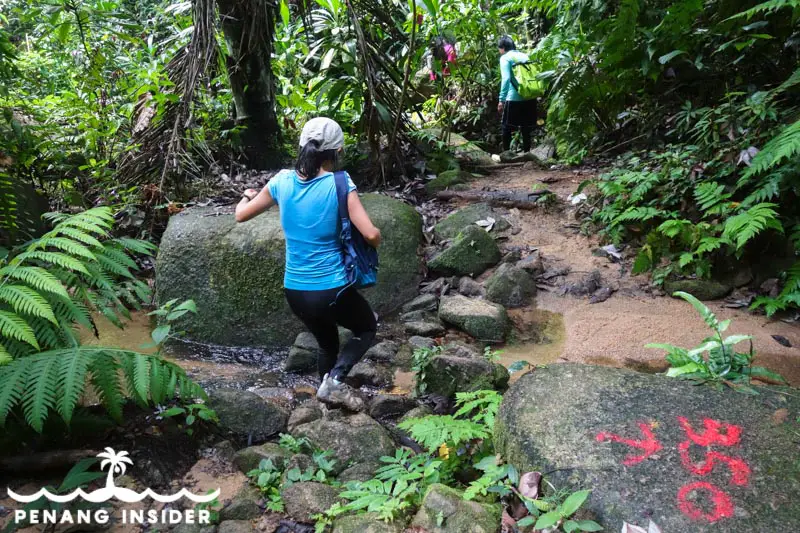 Waterfall junction between Trek 350 and Trek 700 at Cherok Tok Kun Bukit Mertajam