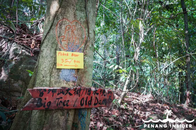signage along the main Cherok Tok Kun Station 2 trail to reach the Big Tree and Trek 350 and 700