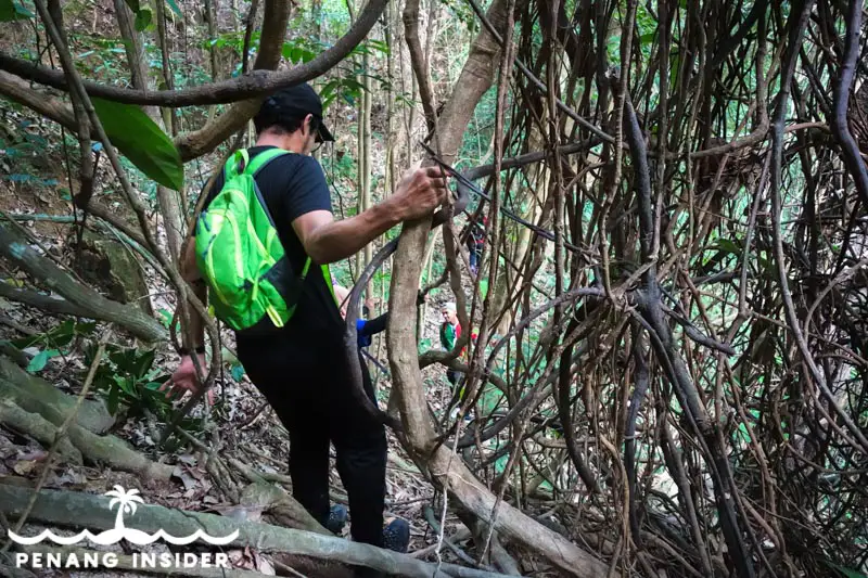 Hiking in Pulau Gedung Pulau Aman