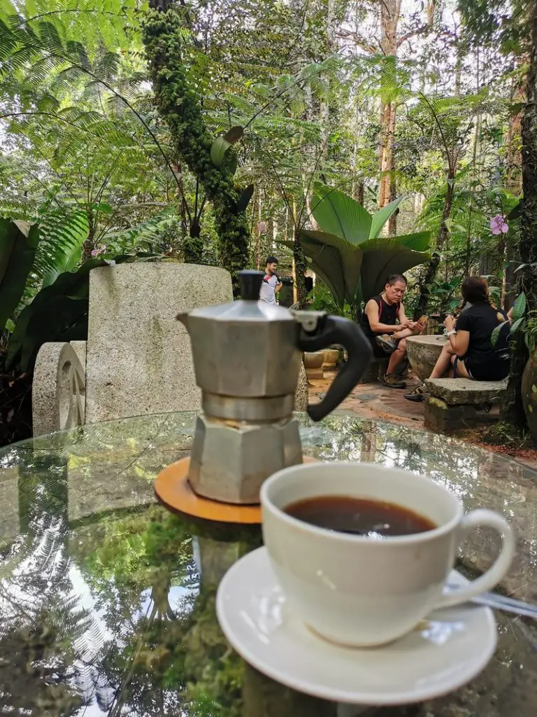 kopi hutan penang hill