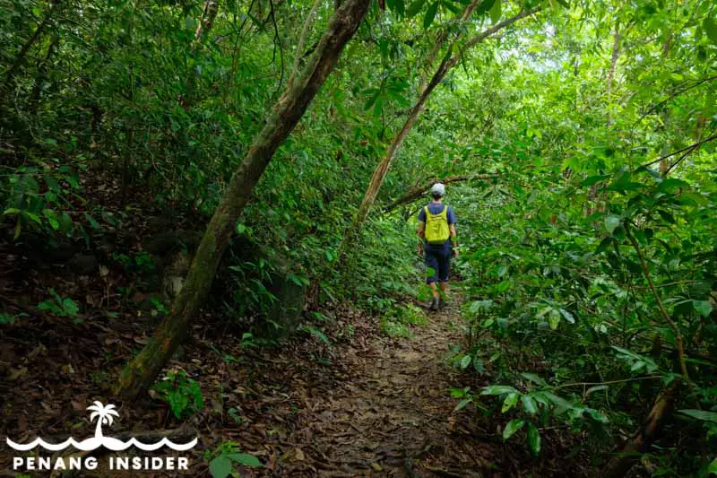 hiking near Pantai Telok Aman