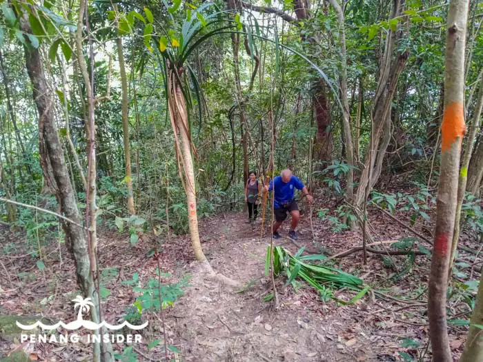 The final part of the ascent to Cow Hill up from Bukit Hijau's pond