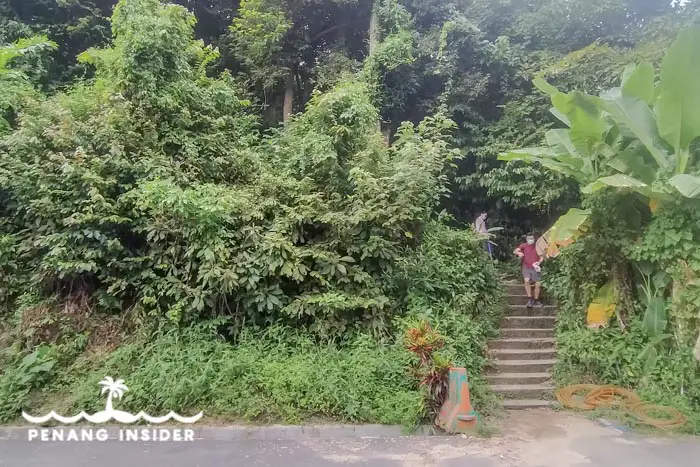 Bukit Hijau trailhead at Cangkat Tembaga