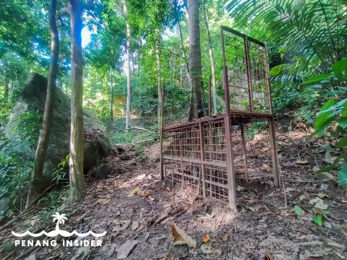 Metal cage near the Big Tree at Bukit Hijau.
