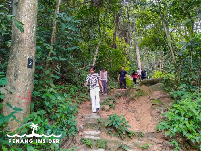 Hikers walking along Bukit Hijau's trail
