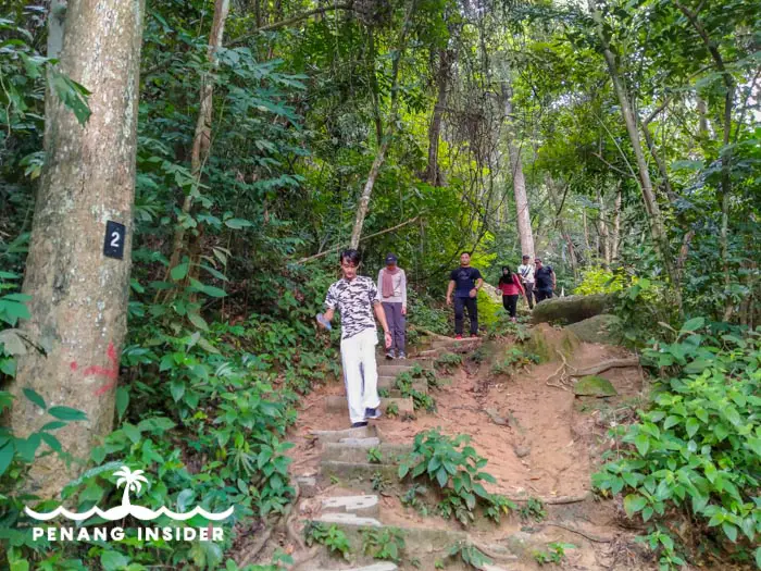 Hikers walking along Bukit Hijau's trail