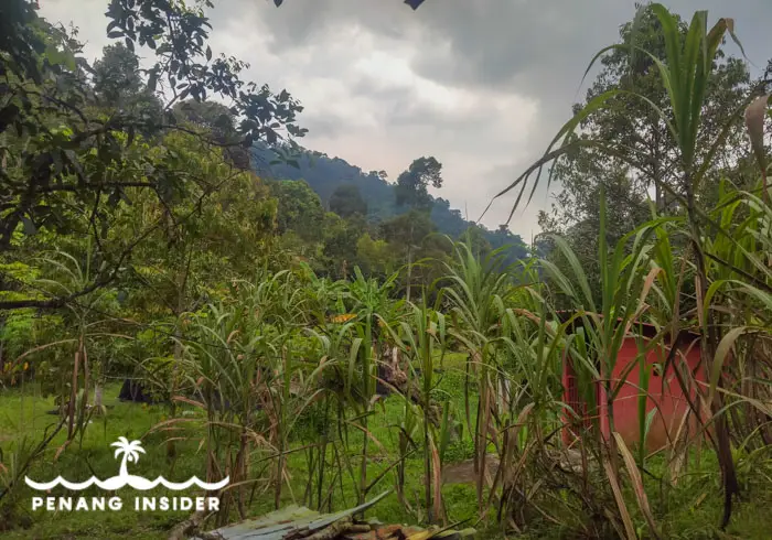 The valleys filled with farms between Farlim and Island Glades.
