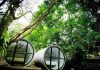 glamping spots in Malaysia