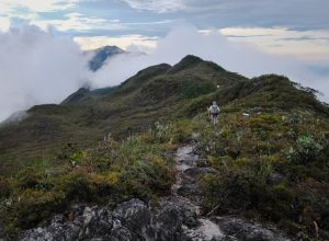 Gunung gedung to Gunung Tahan Pahang