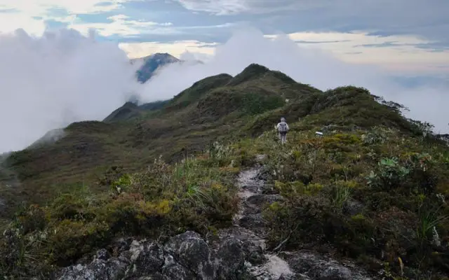 Gunung gedung to Gunung Tahan Pahang
