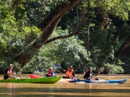 kayaking in Pahang Malaysia Lembah Tanum