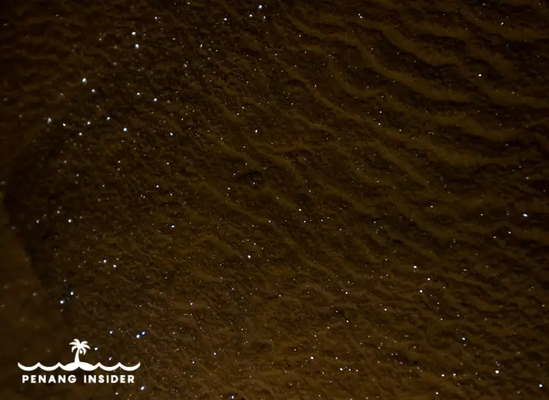 Glittering stars at Gua Taik Bintang
in Merapoh, Pahang
